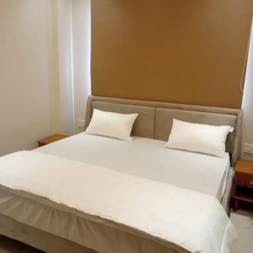 Vijaya’s Homestay Luxurious Service Apartments 201