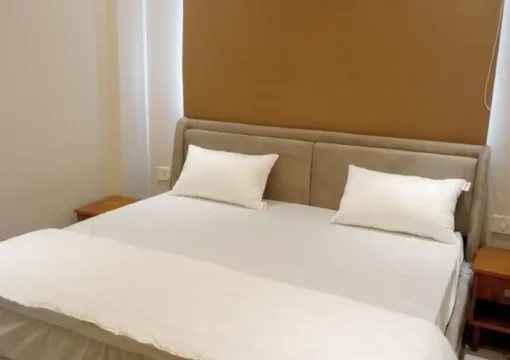 Vijaya’s Homestay Luxurious Service Apartments 201